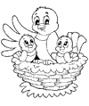 Kueken im Nest ausmalen