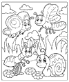 Schnecken & Blumen ausmalen